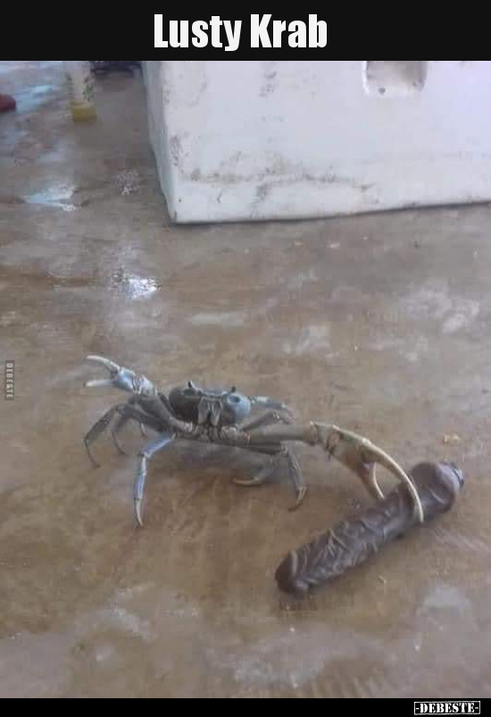 Lusty Krab..