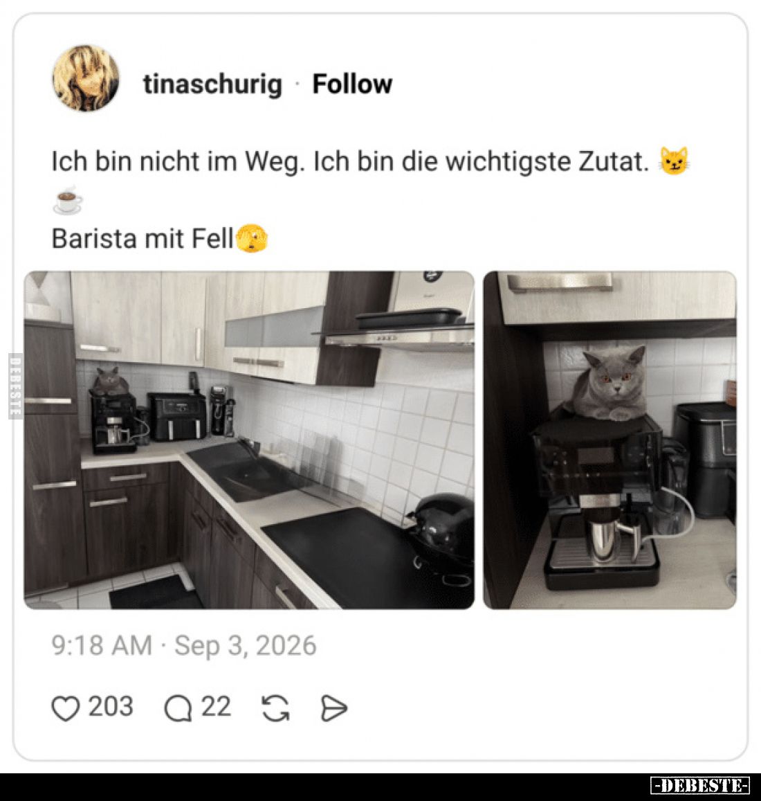 Ich bin nicht im Weg. Ich bin die wichtigste Zutat.. - Lustige Bilder | DEBESTE.de