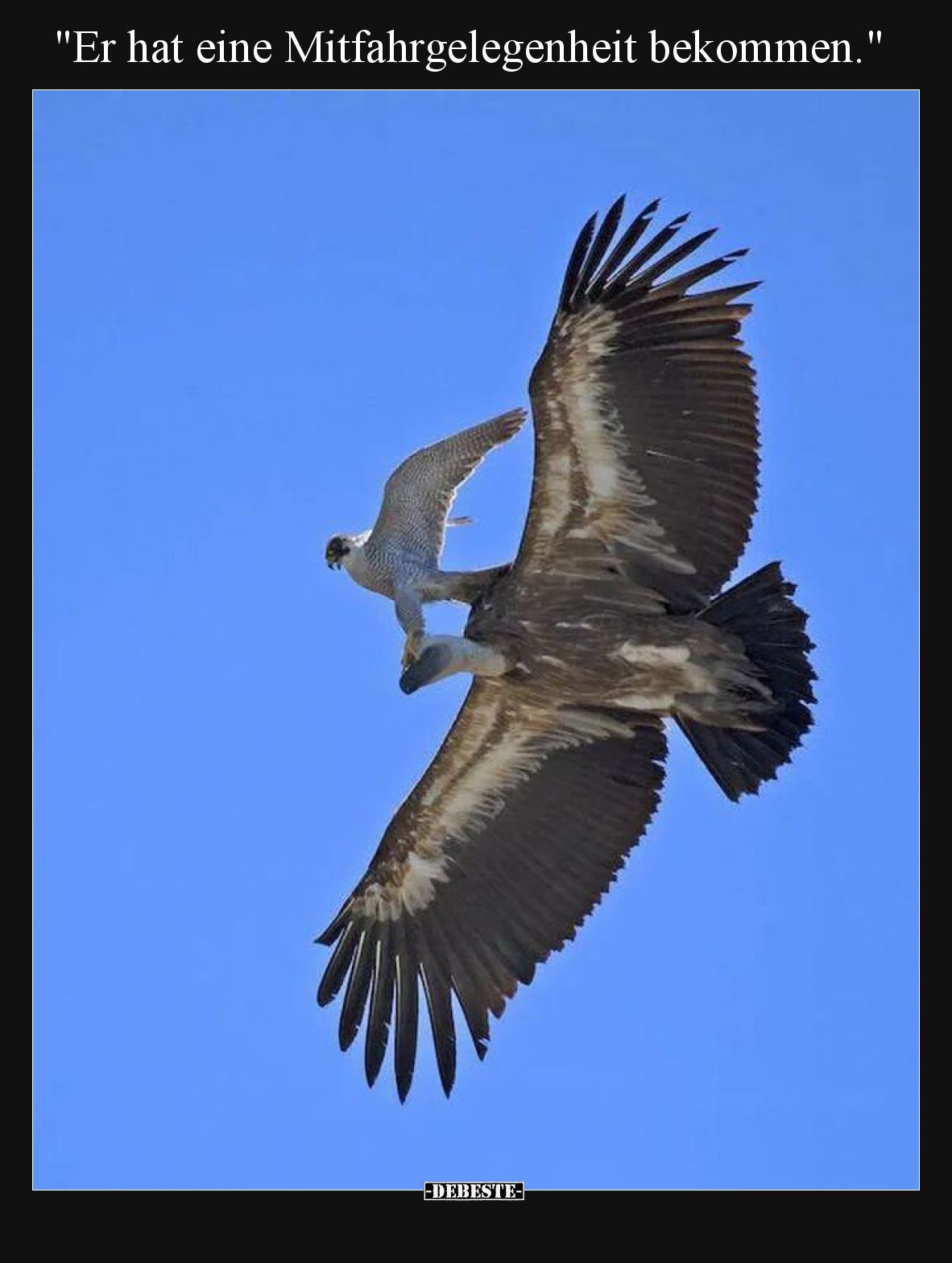 "Er hat eine Mitfahrgelegenheit bekommen.".. - Lustige Bilder | DEBESTE.de