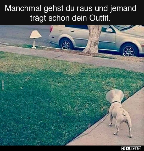 Manchmal gehst du raus und jemand trägt schon.. - Lustige Bilder | DEBESTE.de