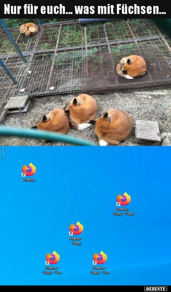 Nur für euch... was mit Füchsen...