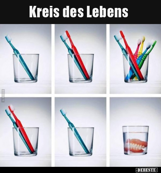Kreis des Lebens.. - Lustige Bilder | DEBESTE.de