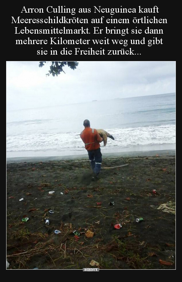 Arron Culling aus Neuguinea kauft Meeresschildkröten auf.. - Lustige Bilder | DEBESTE.de
