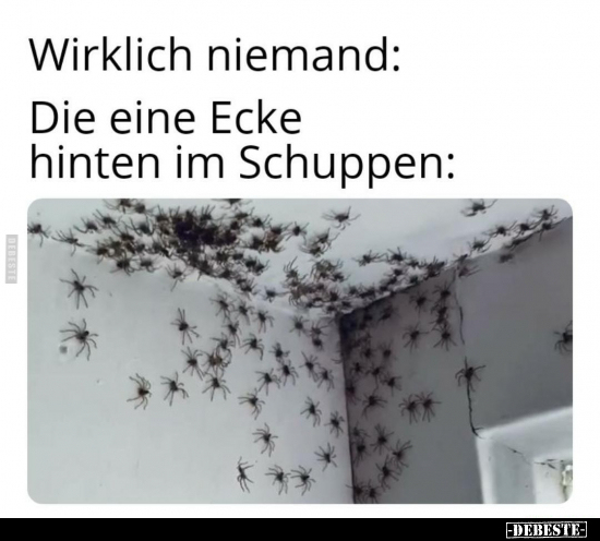 Wirklich niemand: Die eine Ecke hinten im Schuppen: