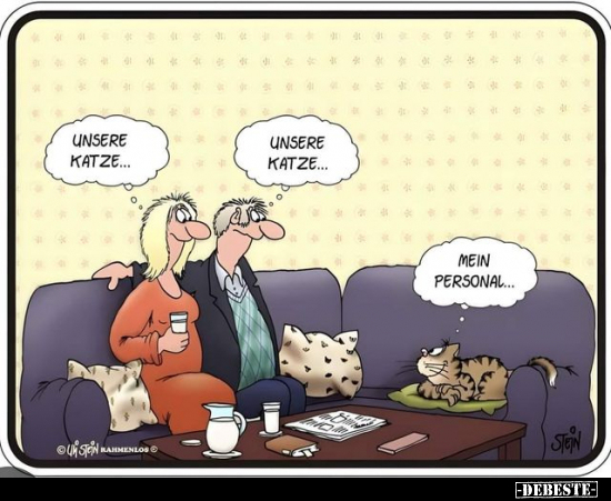 Unsere Katze... - Lustige Bilder | DEBESTE.de