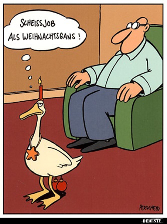 Scheißjob als Weihnachtsgans! - Lustige Bilder | DEBESTE.de
