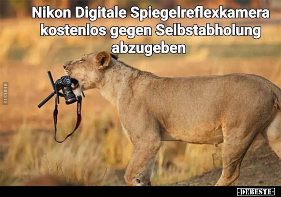 Nikon Digitale Spiegelreflexkamera kostenlos gegen.. - Lustige Bilder | DEBESTE.de