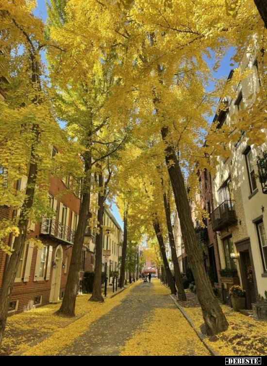  - Lustige Bilder | DEBESTE.de