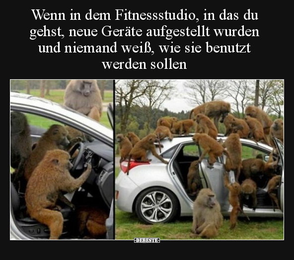 Wenn in dem Fitnessstudio, in das du gehst, neue Geräte.. - Lustige Bilder | DEBESTE.de