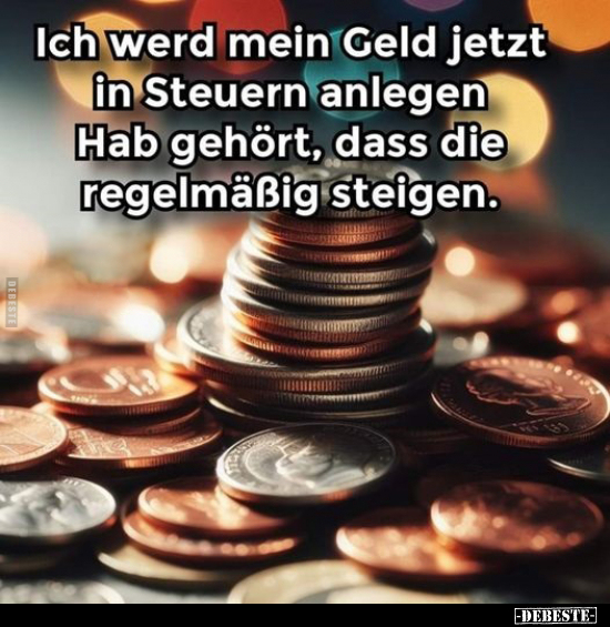 Ich werd mein Geld jetzt in Steuern anlegen Hab gehört.. - Lustige Bilder | DEBESTE.de