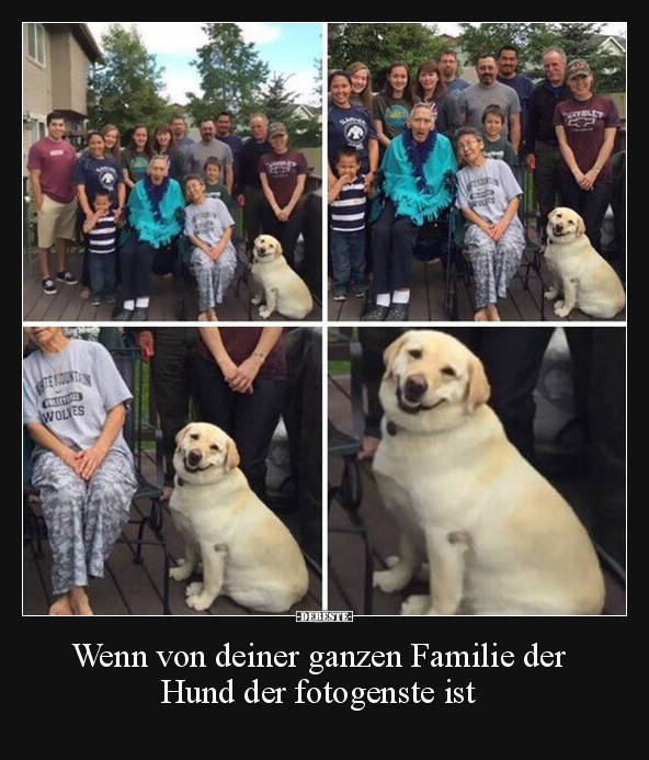 Wenn von deiner ganzen Familie der Hund der fotogenste.. - Lustige Bilder | DEBESTE.de