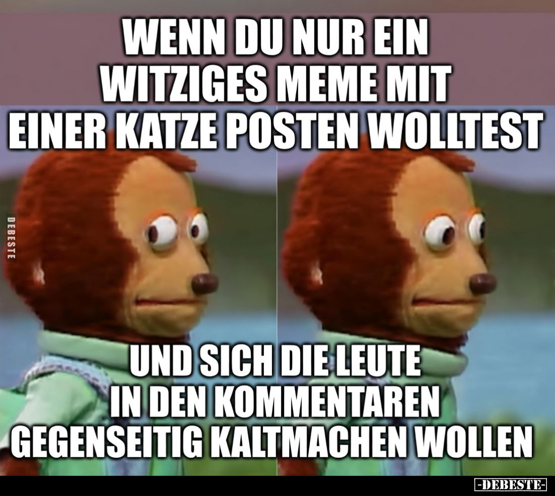 Wenn du nur ein witziges Meme mit einer Katze posten.. - Lustige Bilder | DEBESTE.de