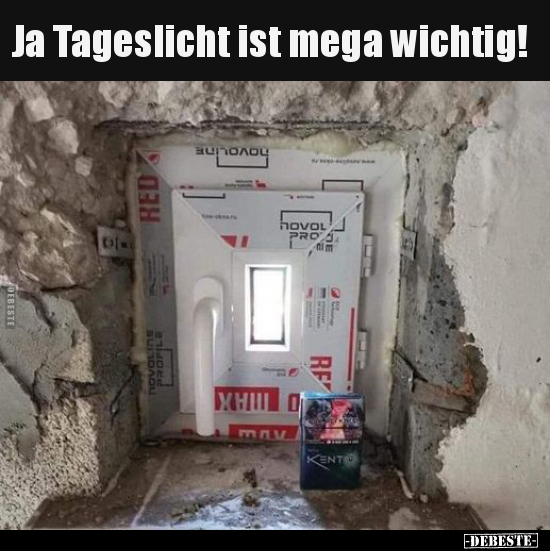 Ja Tageslicht ist mega wichtig!.. - Lustige Bilder | DEBESTE.de