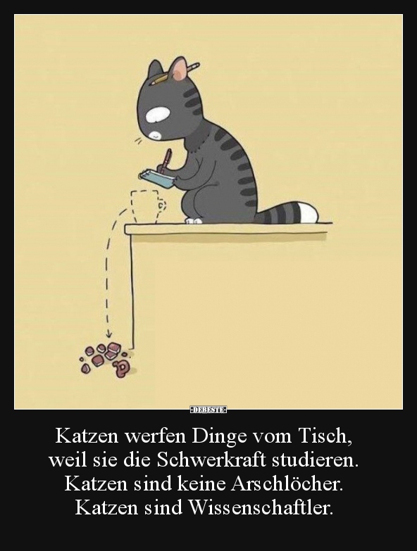 Katzen werfen Dinge vom Tisch, weil sie die Schwerkraft.. - Lustige Bilder | DEBESTE.de