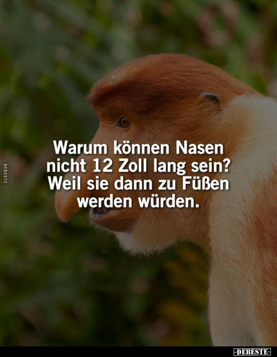 Warum können Nasen nicht 12 Zoll lang sein? .. - Lustige Bilder | DEBESTE.de