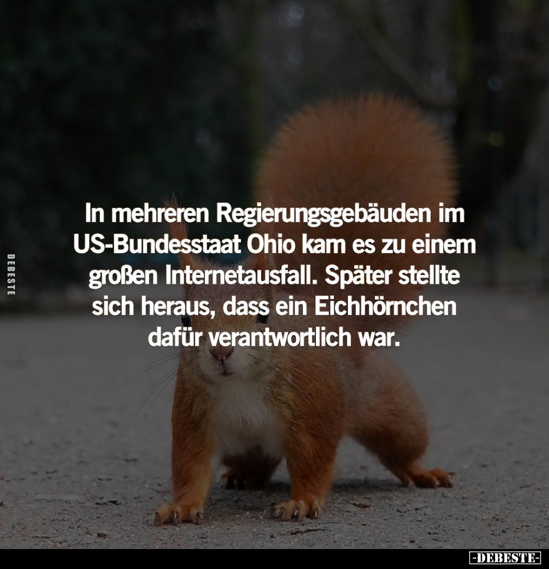 In mehreren Regierungsgebäuden im US-Bundesstaat Ohio kam es zu einem großen Internetausfall. Später stellte sich heraus, das...