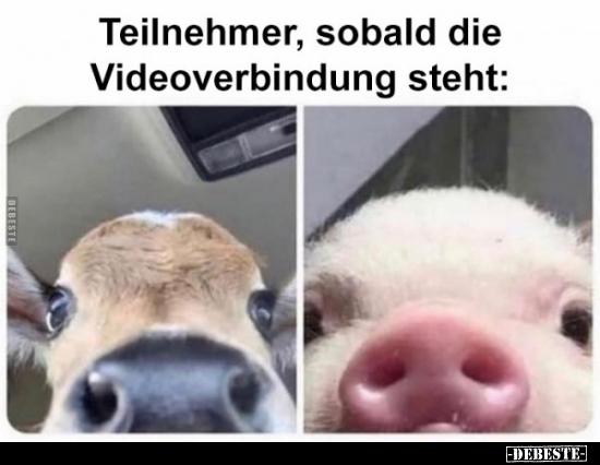 Teilnehmer, sobald die Videoverbindung steht.. - Lustige Bilder | DEBESTE.de