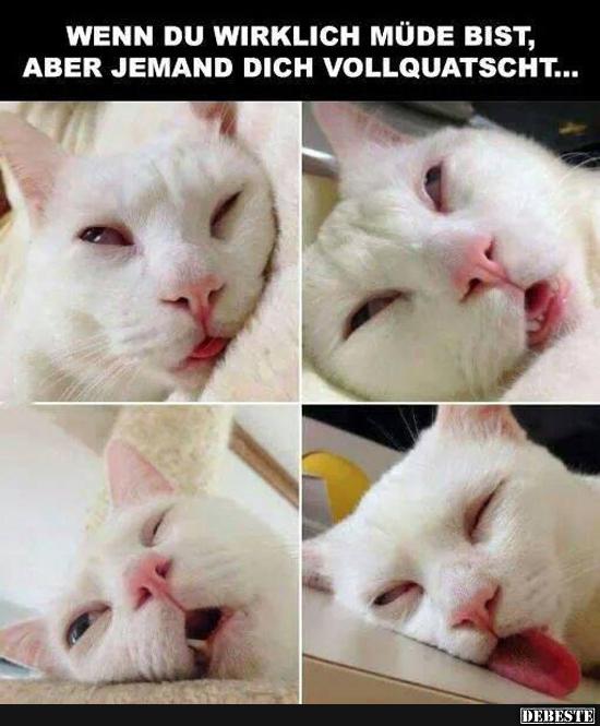 Wenn du wirklich müde bist, aber jemand dich vollquatscht.. - Lustige Bilder | DEBESTE.de