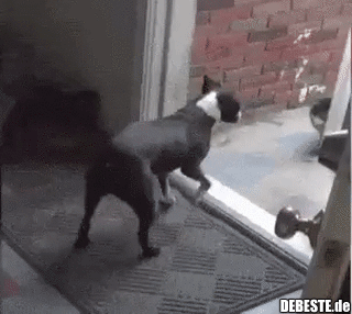 Verdammt nochmal, entscheide dich endlich!!!!