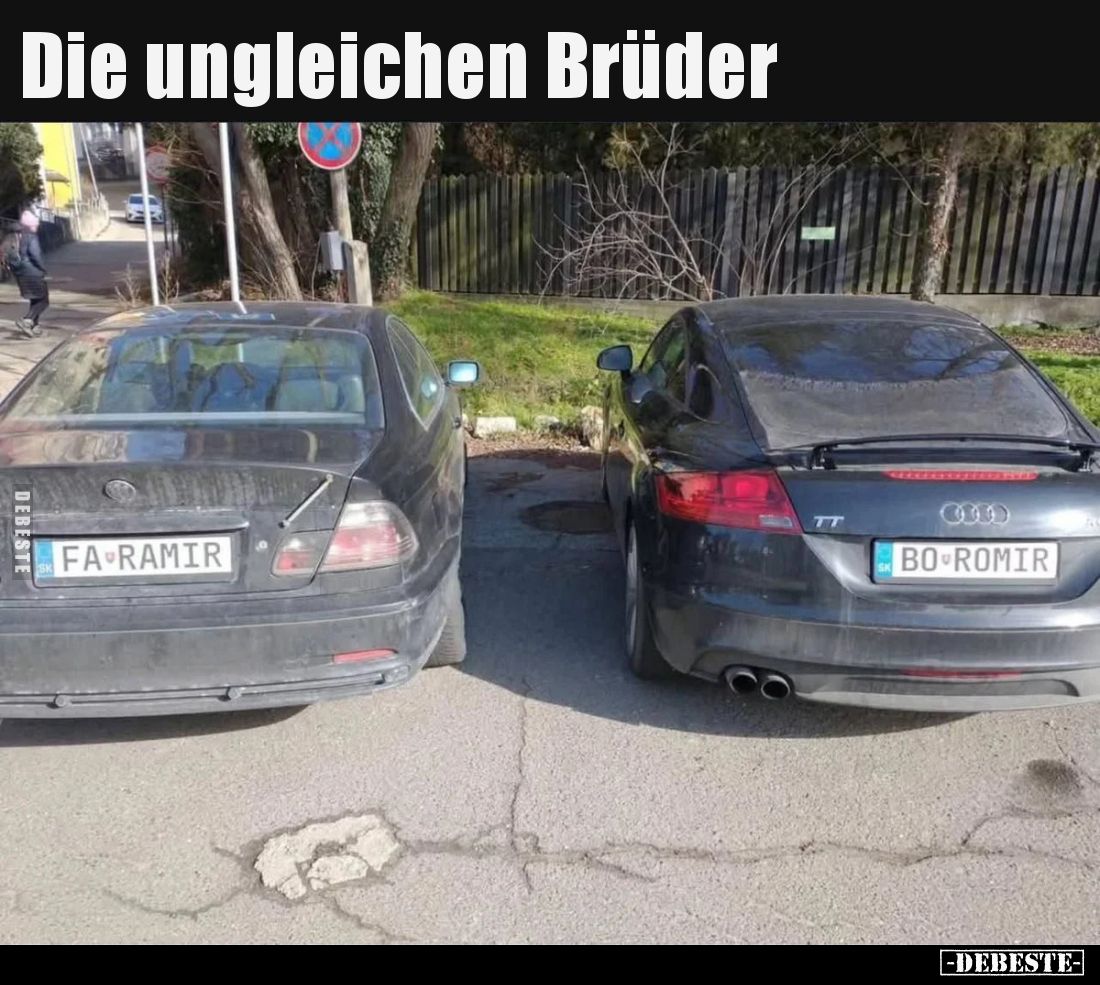 Die ungleichen Brüder..