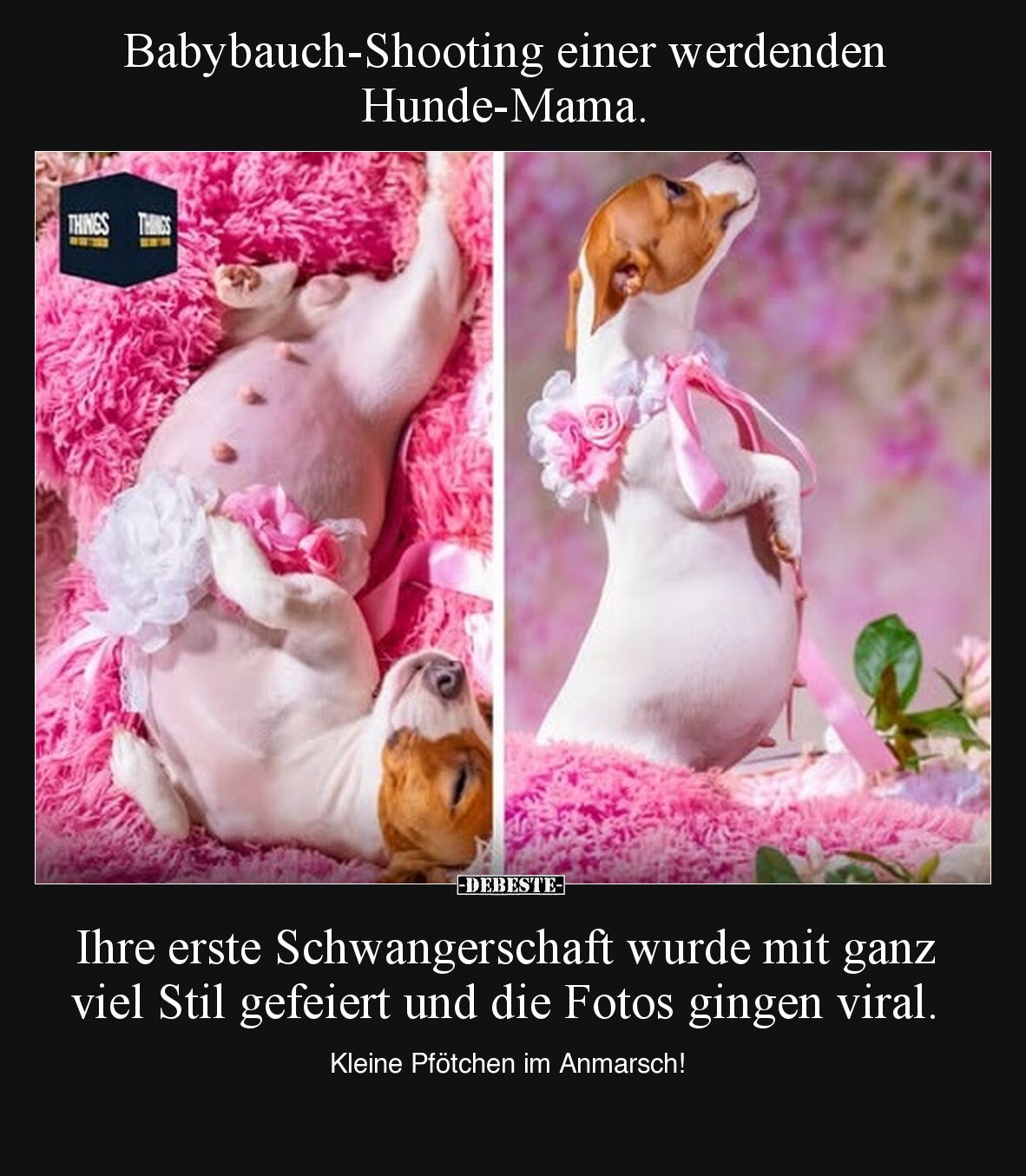 Babybauch-Shooting einer werdenden Hunde-Mama.

Ihre erste Schwangerschaft wurde mit ganz viel Stil gefeiert und die Fotos ...
