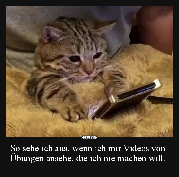 So sehe ich aus, wenn ich mir Videos von Übungen ansehe.. - Lustige Bilder | DEBESTE.de