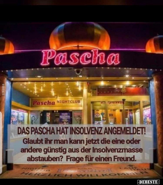 Das Pascha hat Insolvenz angemeldet! Glaubt ihr man kann.. - Lustige Bilder | DEBESTE.de
