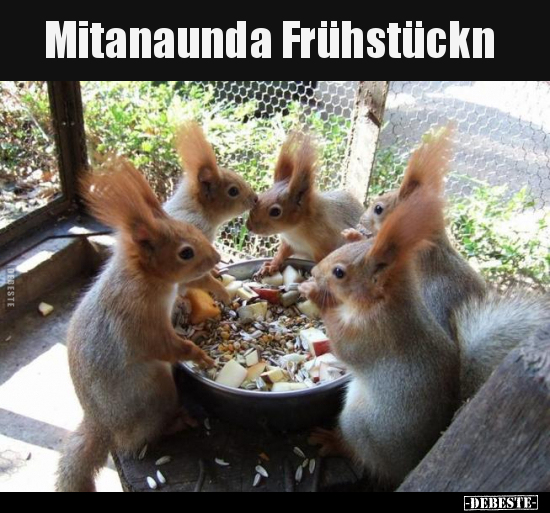 Mitanaunda Frühstückn.. - Lustige Bilder | DEBESTE.de