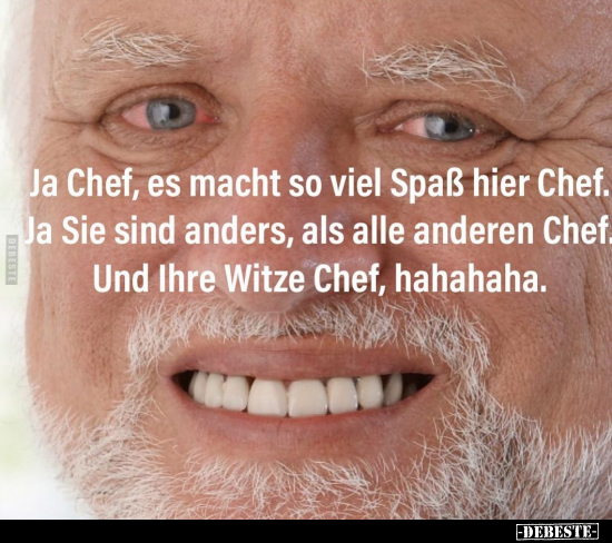 Ja Chef, es macht so viel Spaß hier Chef.. - Lustige Bilder | DEBESTE.de