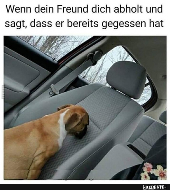 Wenn dein Freund dich abholt und sagt, dass..
