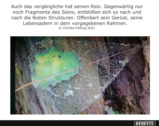  - Lustige Bilder | DEBESTE.de