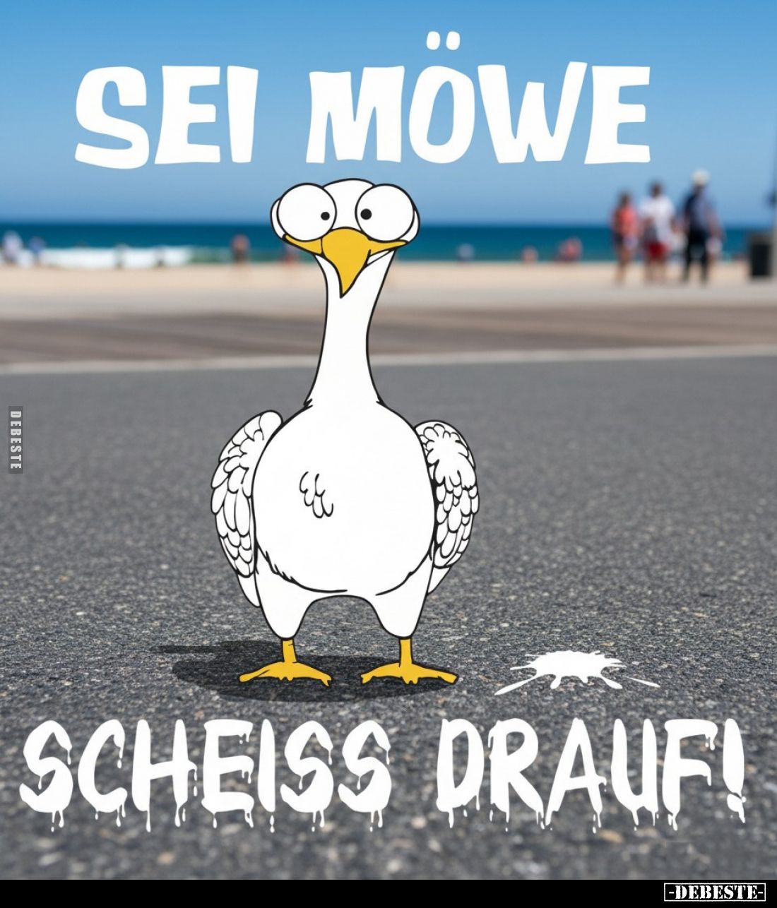 Sei Möwe
scheiß drauf!