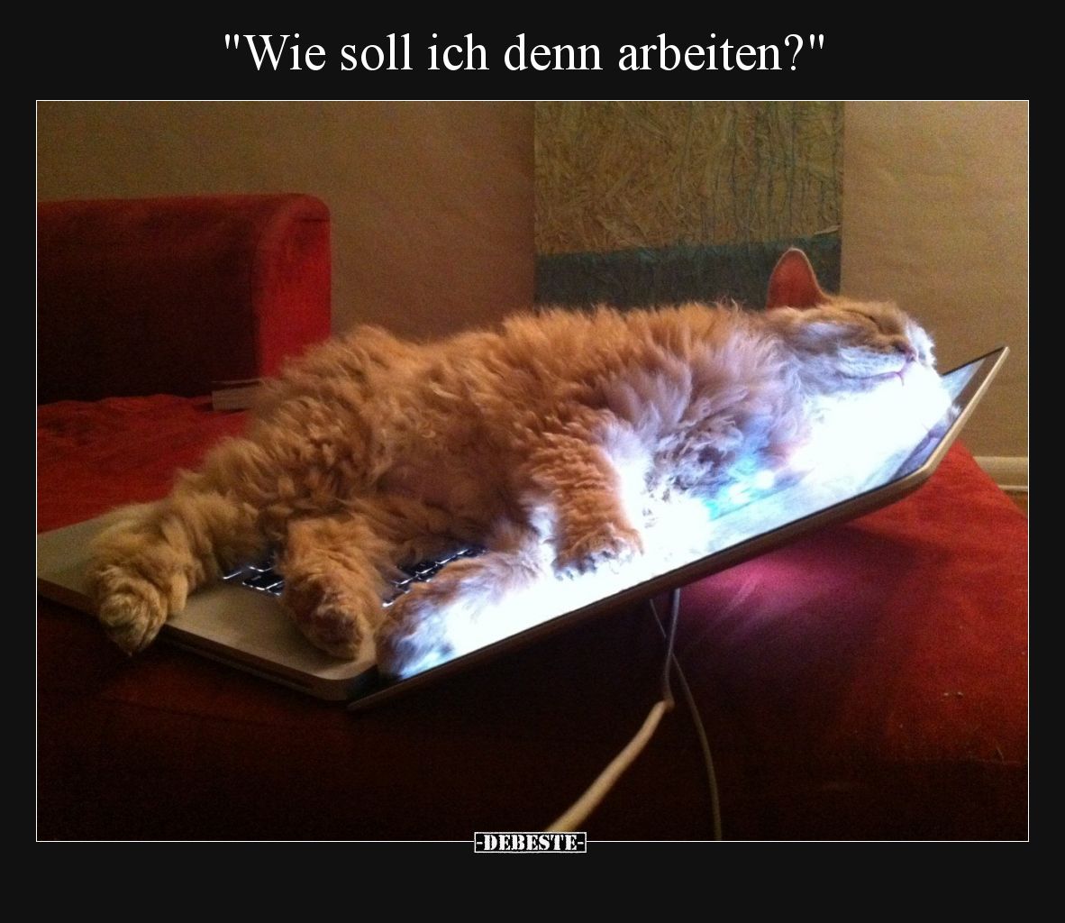 Wie soll ich denn arbeiten?