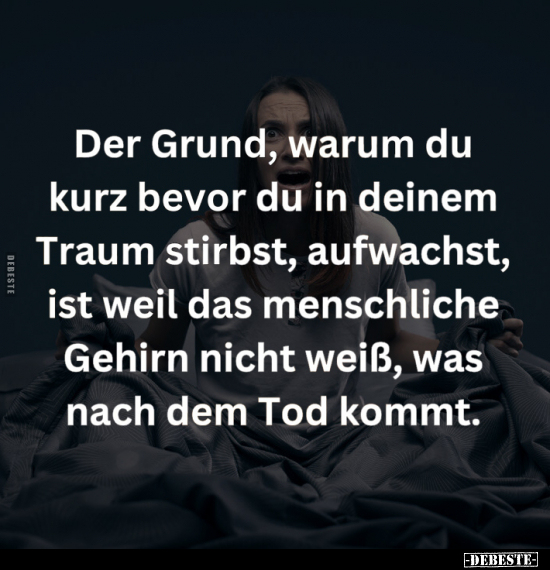 Der Grund, warum du kurz bevor du in deinem Traum stirbst, aufwachst, ist weil das menschliche Gehirn nicht weiß, was nach de...
