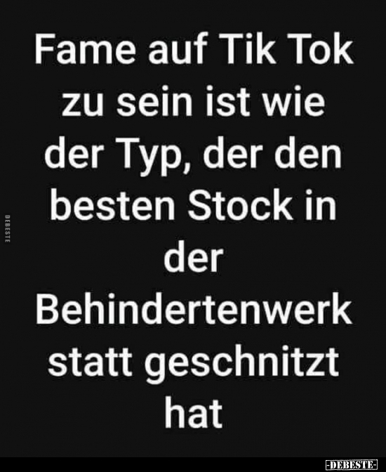 Fame auf Tik Tok zu sein ist wie der Typ, der den besten.. - Lustige Bilder | DEBESTE.de