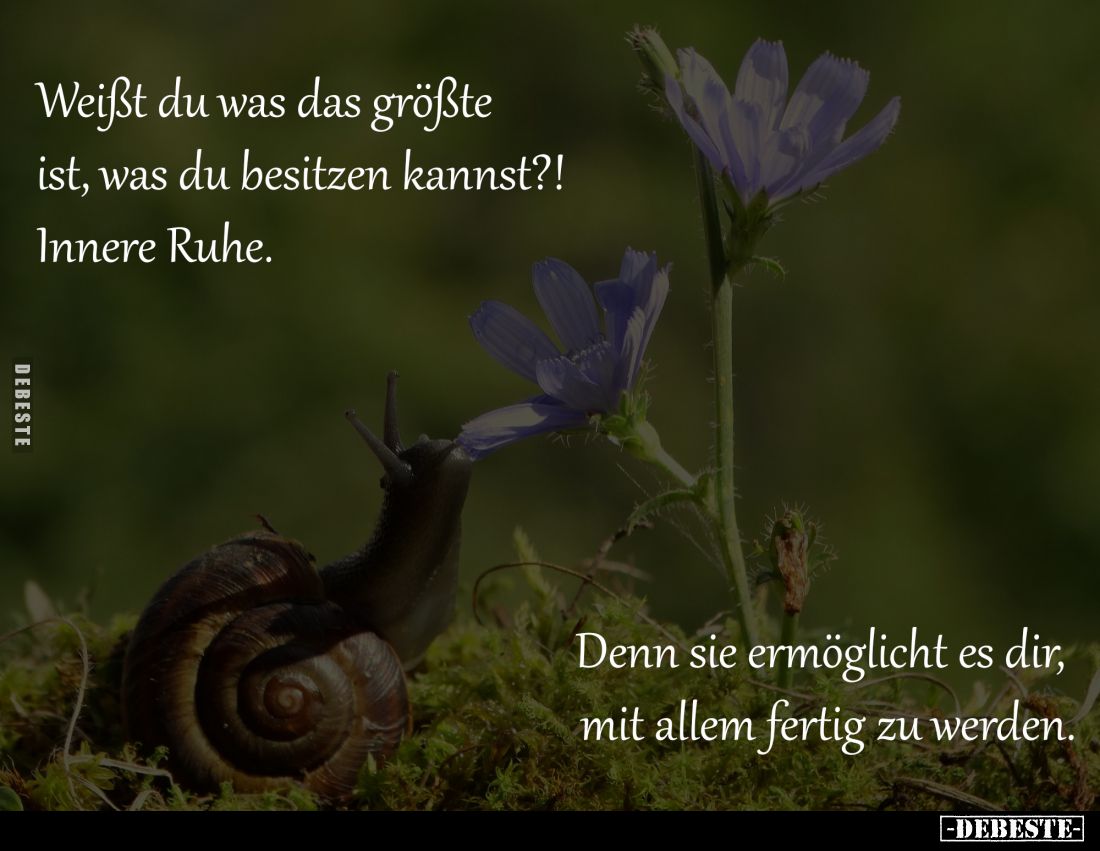 Weißt du was das größte ist... - Lustige Bilder | DEBESTE.de