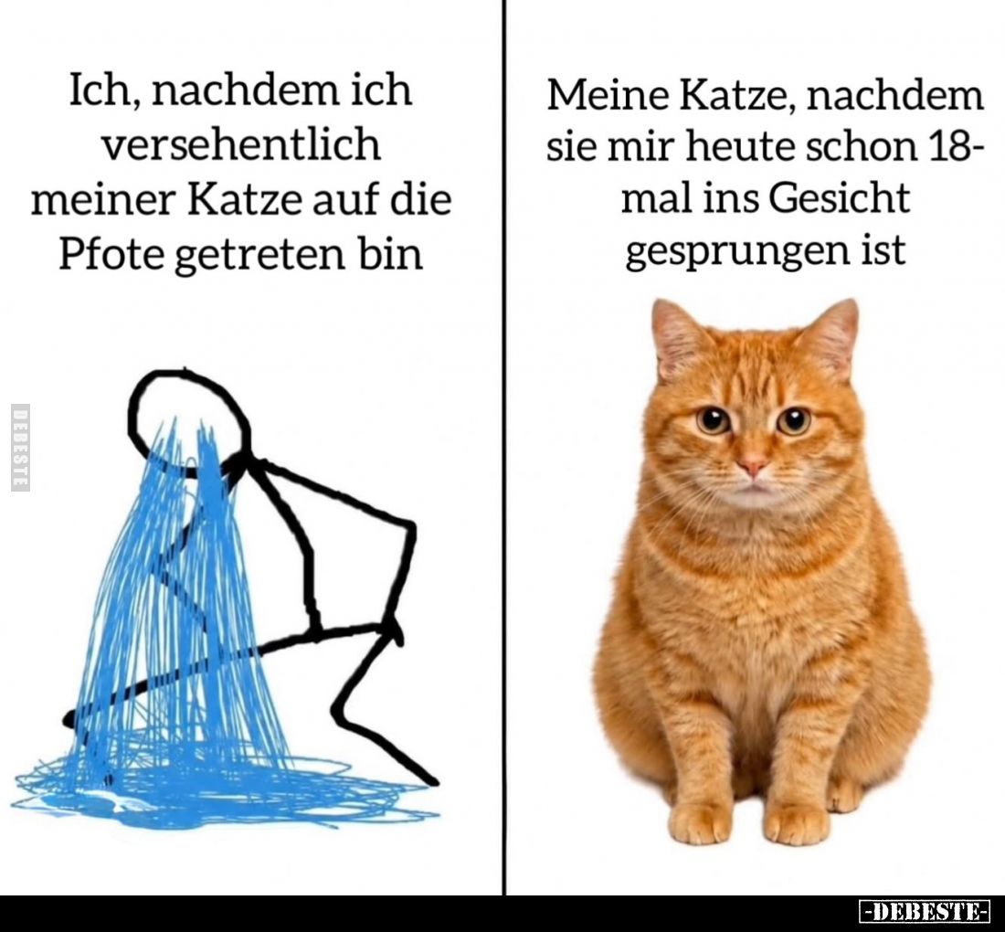 Ich, nachdem ich versehentlich meiner Katze auf die Pfote getreten bin. - Meine Katze, nachdem sie mir heute schon 18-mal ins...