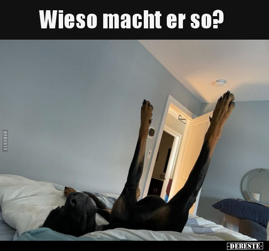 Wieso macht er so?