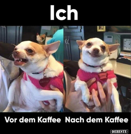 Vor dem Kaffee / Nach dem Kaffee