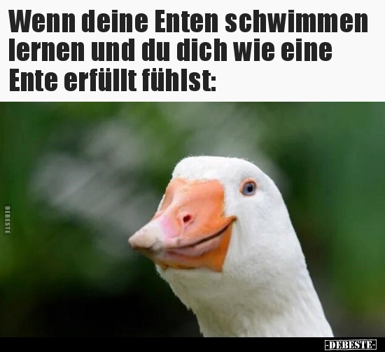Wenn deine Enten schwimmen lernen und du dich wie eine.. - Lustige Bilder | DEBESTE.de