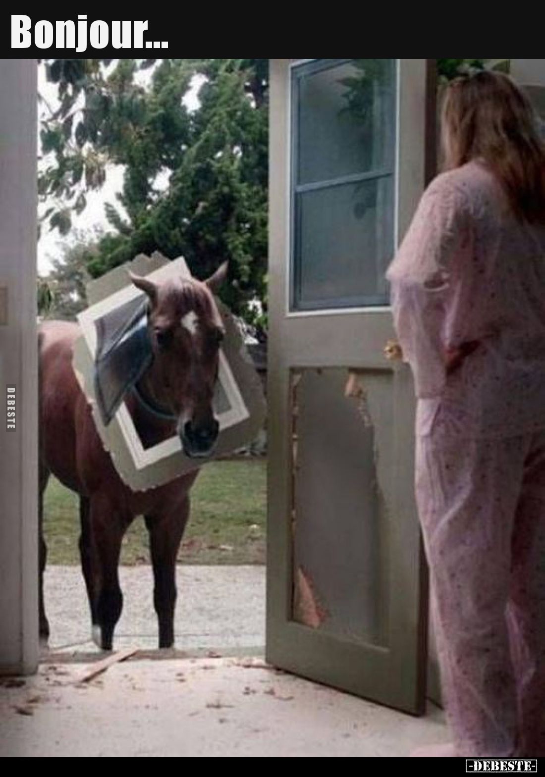 Bonjour... - Lustige Bilder | DEBESTE.de