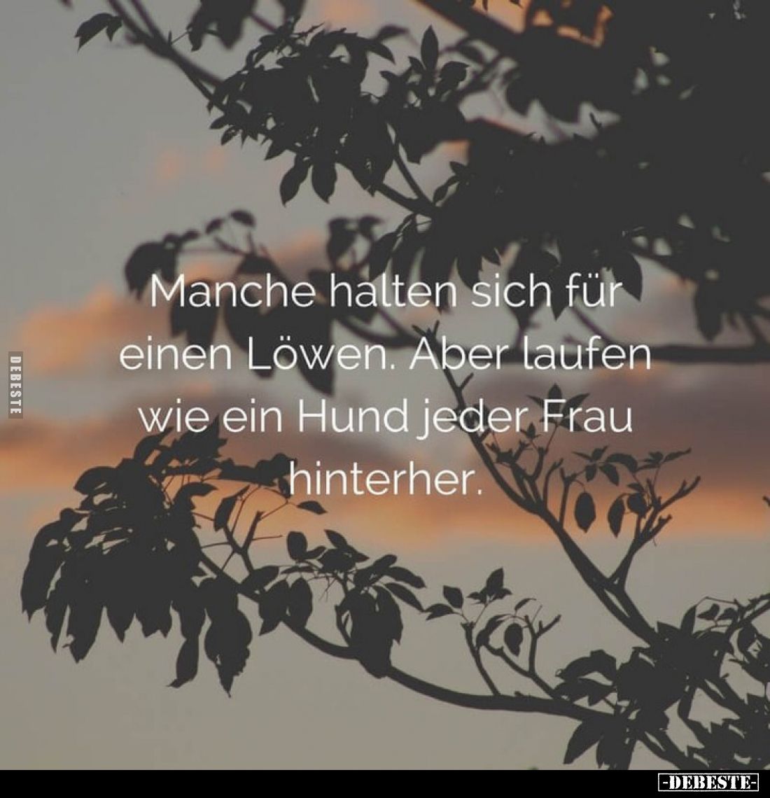 Manche halten sich für einen Löwen. Aber laufen wie ein Hund jeder Frau hinterher.