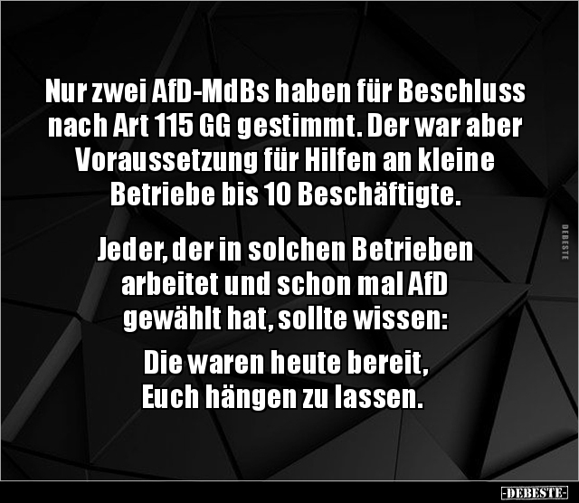 Nur zwei AfD-MdBs haben für Beschluss nach Art 115 GG.. - Lustige Bilder | DEBESTE.de