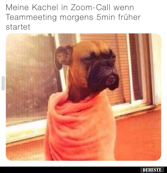 Meine Kachel in Zoom-Call wenn Teammeeting morgens 5min.. - Lustige Bilder | DEBESTE.de
