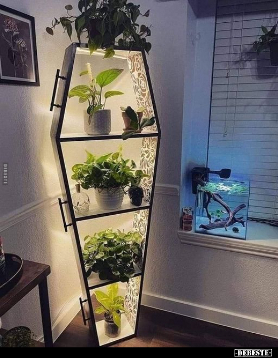  - Lustige Bilder | DEBESTE.de