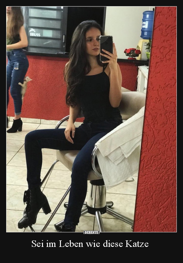 Sei im Leben wie diese Katze..