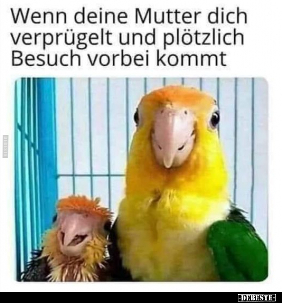 Wenn deine Mutter dich verprügelt und plötzlich Besuch..