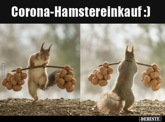 Corona-Hamstereinkauf :).. - Lustige Bilder | DEBESTE.de