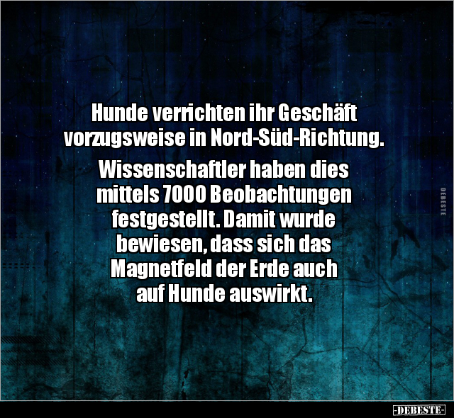 Hunde verrichten ihr Geschäft vorzugsweise in Nord-Süd-Richtung.. - Lustige Bilder | DEBESTE.de