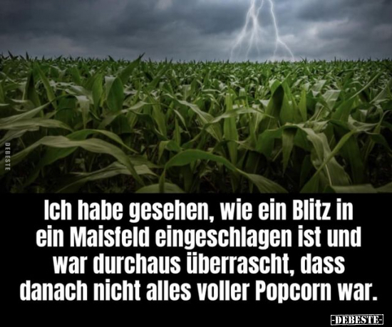 Ale Ich habe gesehen, wie ein Blitz in ein Maisteld.. - Lustige Bilder | DEBESTE.de